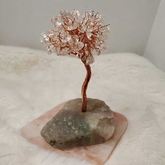 Clear Quartz Crystal Tree with Fluorite Base - Picture 2 of 13